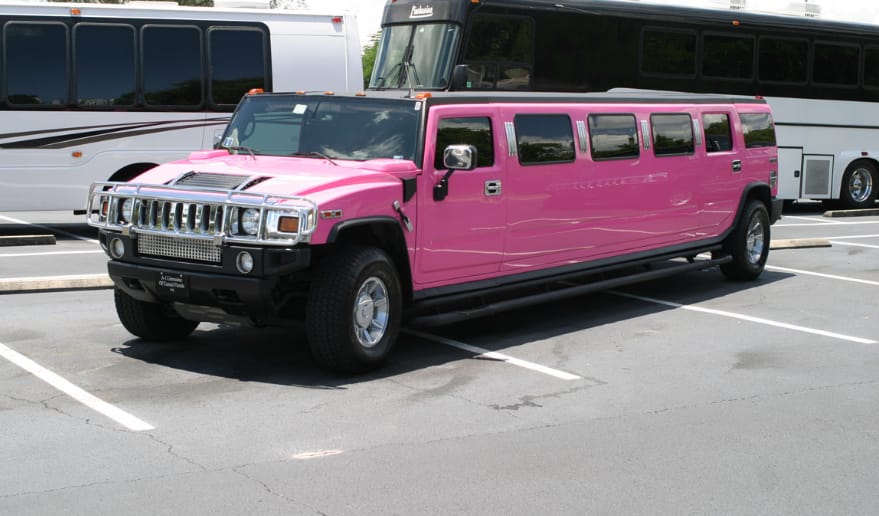 pink party limo